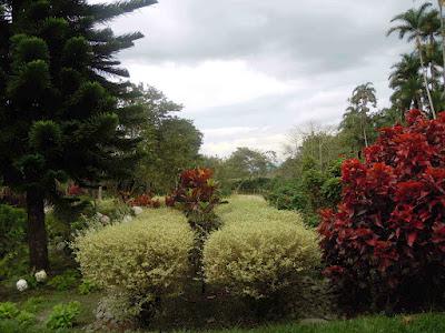 parque nacional del café