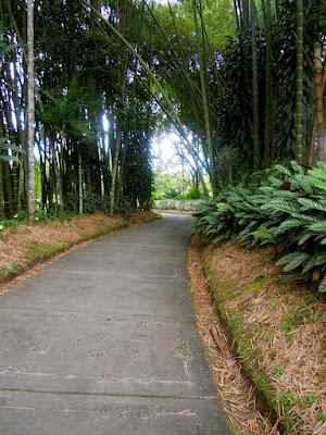 parque nacional del café