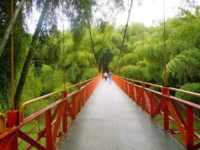 parque nacional del café