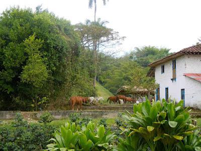 parque nacional del café