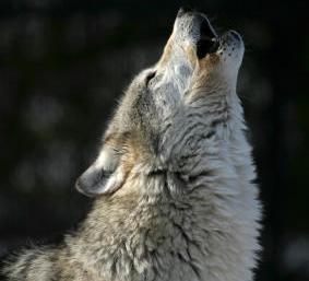 5 Bad Things For Season 5 5 Bad Things For Season 5