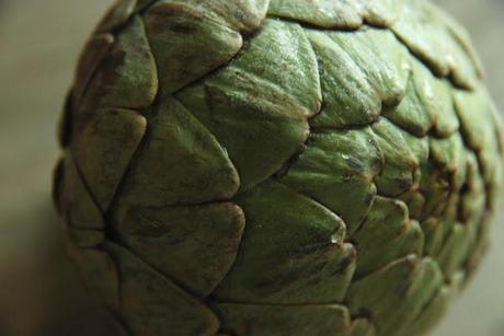 Wilder Pictures + Recipes: How to Cook and Eat an Artichoke