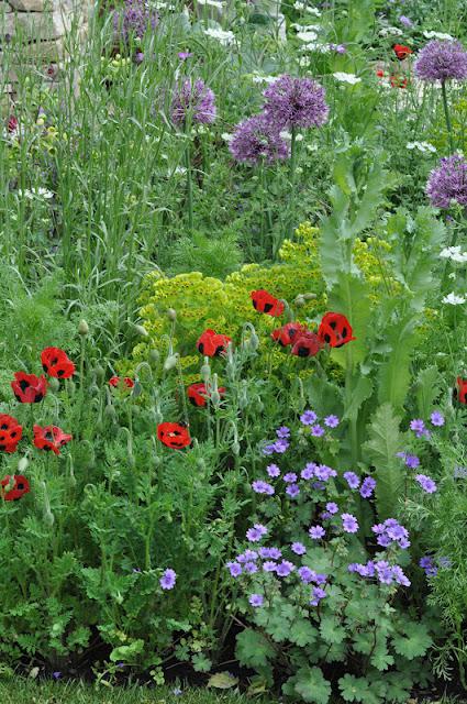 RHS Chelsea Flower Show: Part 1 RHS Chelsea Flower Show: Part 1