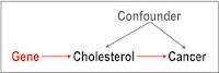 The Death Of Good Cholesterol