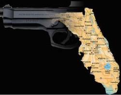 Latyest Gun Control Polls from Florida