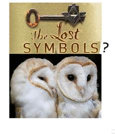 Fact Or Fiction: Barn Owls Inhabited The Smithsonian?