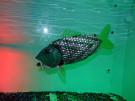 ROBOCOD: THE FUTURE OF (MARINE) LAW ENFORCEMENT ROBOCOD: THE FUTURE OF (MARINE) LAW ENFORCEMENT
