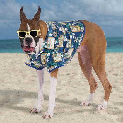 Hawaiian Shirt for dogs: Hammacher Schlemmer