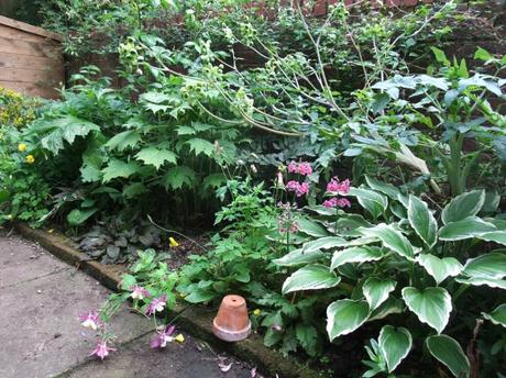 2012_05300004 End of Month View – May 2012