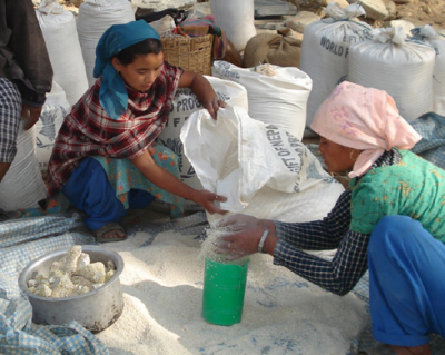 wfp_nepal Lessons in Economically Sustainable Development: Learning by Examples