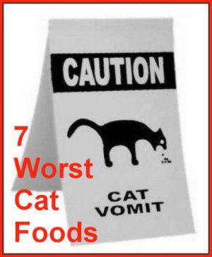 The 7 Worst Foods You Can Feed Your Cat