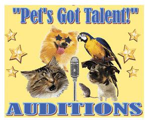 Top Ten American (And Japanese) Pets Got Talent Videos