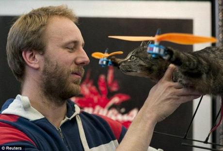 Kitty Hawk: Flying Feline Enjoys An Uplifting Afterlife As A Helicopter