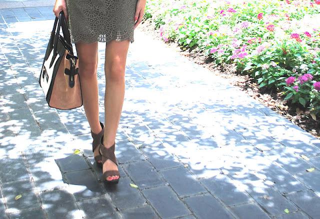Scalloped Scalloped