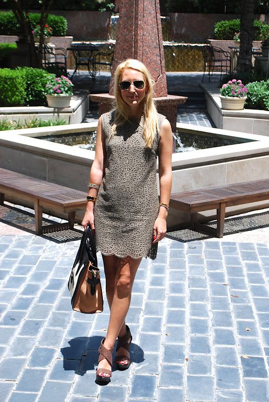 Scalloped Scalloped