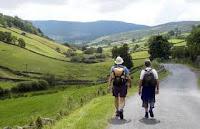 Walking in Peace in Greenery Walking in Peace