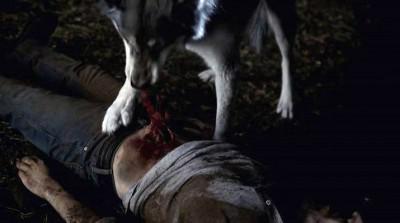 501-42 Random Thoughts Episode 5.01 – Turn, Turn, Turn