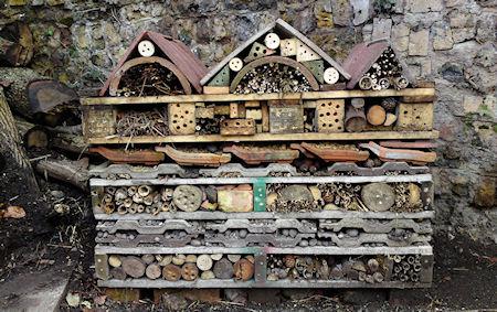 Welcome To The Bee Hotel