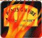 Politifact Fiskes and Frisks the NRA Lies about Obama and the 2nd Amendment Pants on Fire!