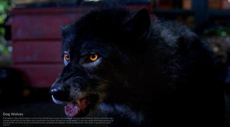Behind the Scenes: Season 5 Dog-Wolves Chew the Rubber Marcus