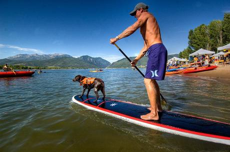 Fun with Fido: Tips for an Active Summer with Your Dog