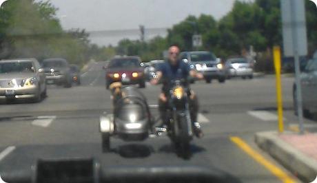 IMAG0284 IMAG0284