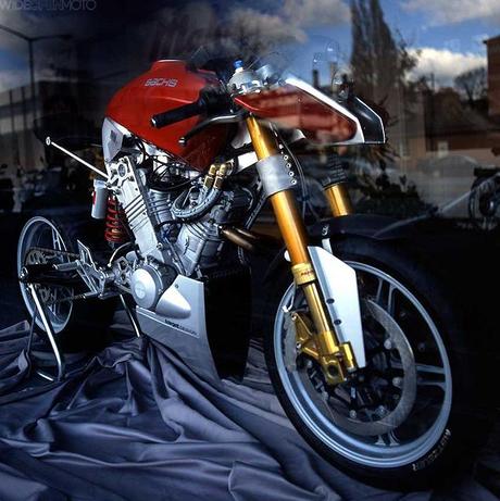 Sachs Beast 1000 Sachs Beast 1000