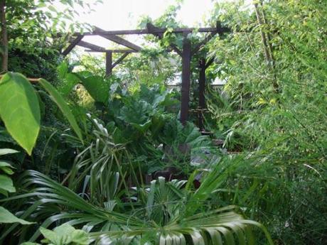 The Garden in June The Garden in June