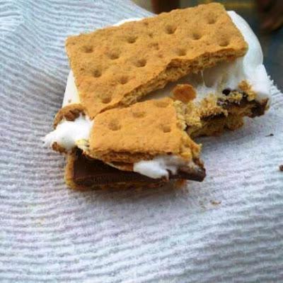 Father's Day S'mores