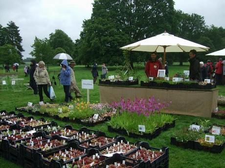 Cottesbrooke Gardeners' Fair 2012