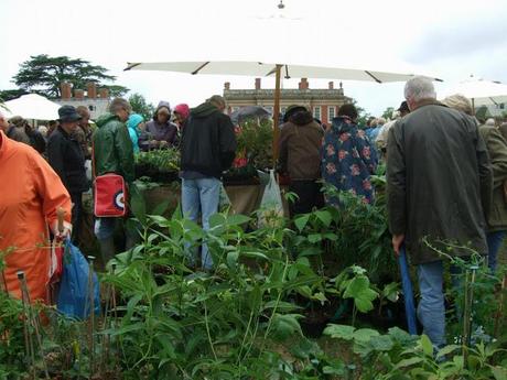 Cottesbrooke Gardeners' Fair 2012