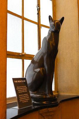 In & Around London… Cats In & Around London… Cats