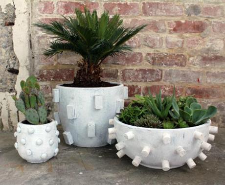 Nook&Sea-NookAndSea-DesignSponge-DIY-Textured-Planters-Outdoor-Pots-White-Palm-Succulents 5 unique DIY’s to try
