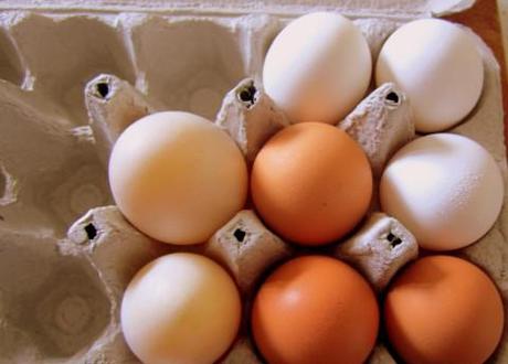 egg variety Atkins-style diets linked to heart disease