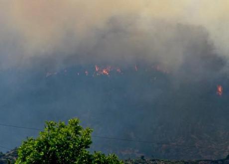 The Waldo Canyon forest fire is growing in size as experts predict more 