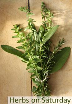 Herbs on Saturday Herbs on Saturday