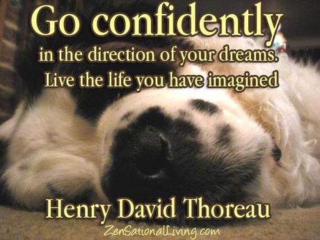 Go confidently.
