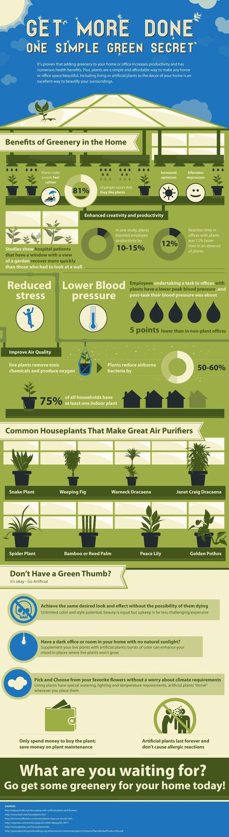 Infographic on the Benefits of Trees and Plants in the Home