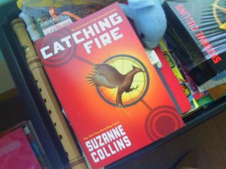 I’m curently reading Catching Fire! Sh*t that, I’m gonna marry and love this...