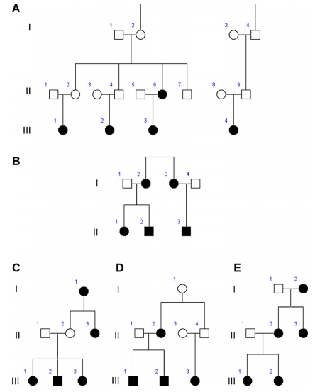 mirror-touch-synesthesia-and-the-genetics-of-synesthesia-paperblog