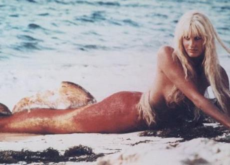 Mermaids are not real, says agency