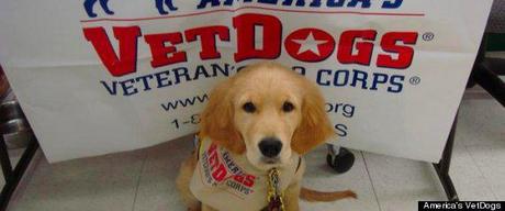 Jailed Veterans Train Service Dogs for Wounded Vets