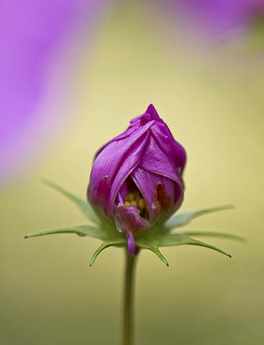 Monday Mingle 1 Meet Me On Monday