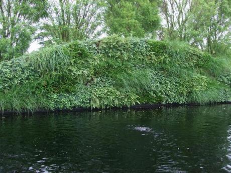 A Look Back at 2012 RHS Hampton Court Flower Show A Look Back at 2012 RHS Hampton Court Flower Show