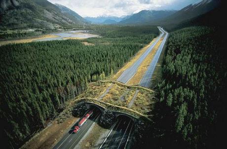 Wildlife overpass, Banff National Park, Alberta, Canada: Parks Canada via theworldgeography.com