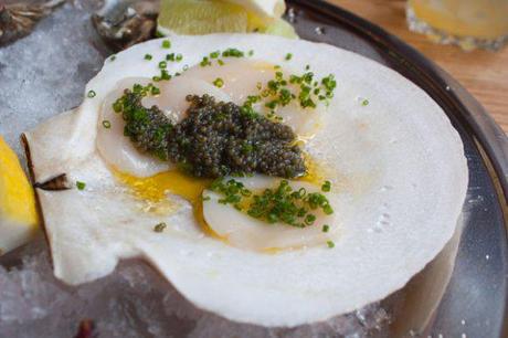 Could-Eat-Daily Cure + Embury = The Salumi of the Dog That Bit Ya!