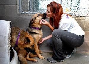 Amazing Rescue Story! Los Angeles Times