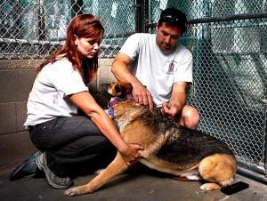 Amazing Rescue Story! Los Angeles Times