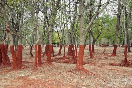 spill mini Stunning Photos of a Thick Red Line in the Aftermath of a Toxic Spill