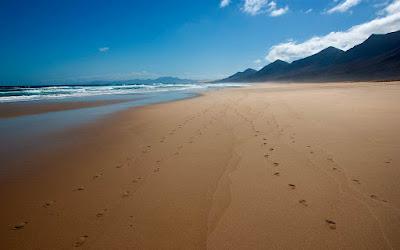Best 7 Beaches in Fuerteventura, Canary Islands